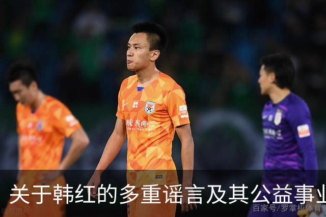 关于韩红的多重谣言及其公益事业的实证分析